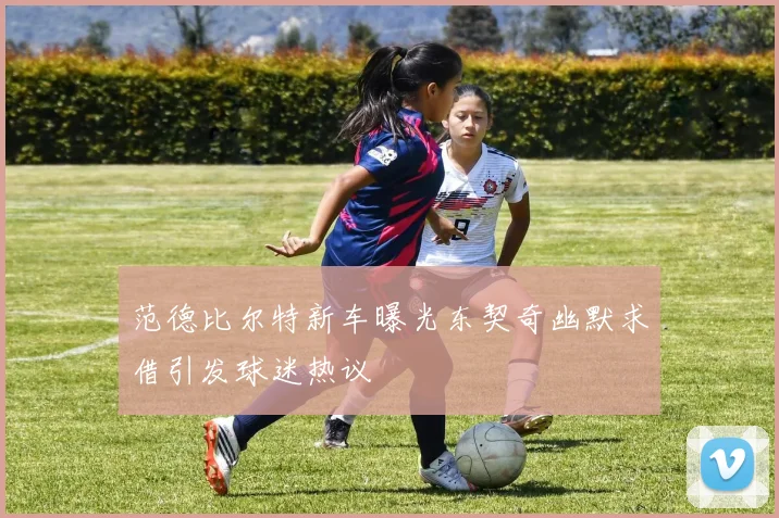 范德比尔特新车曝光东契奇幽默求借引发球迷热议