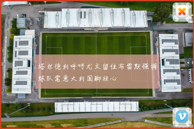 塔尔德利呼吁尤文留住布雷默强调球队需意大利国脚核心