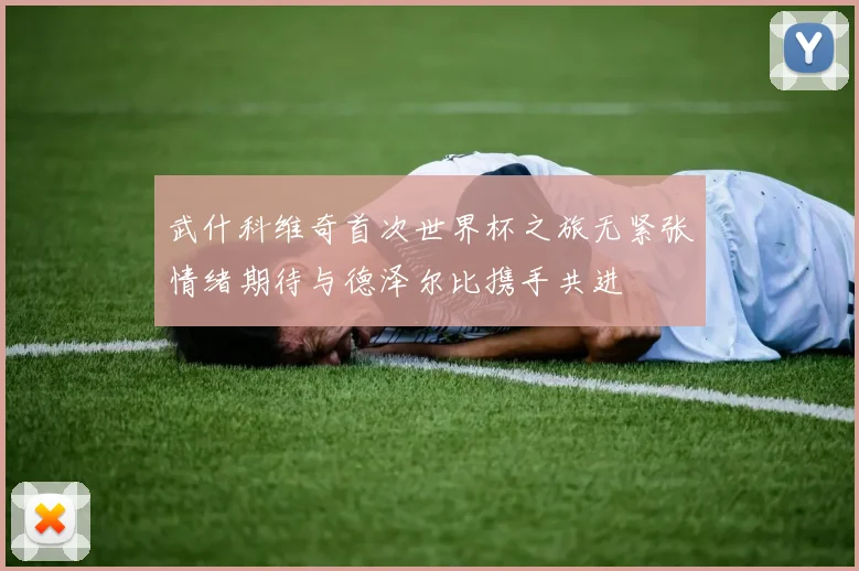 武什科维奇首次世界杯之旅无紧张情绪期待与德泽尔比携手共进